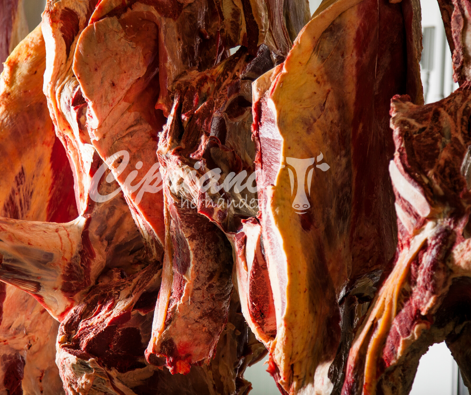 conseguimos el nivel superior del sello IFS Food